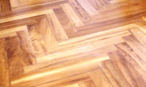 פישבון אירוקו מוקטן